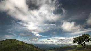 Stanley Revelation - 8