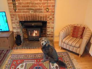 The Olde Cottage - Hythe - 1