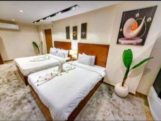 Topaz pyramids view - 5