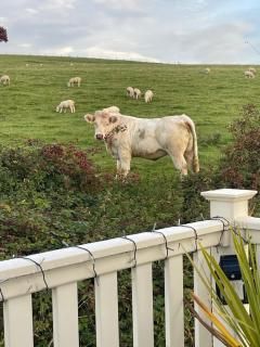 Turnberry holiday park - 9