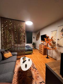 Apartment near the ski lift with a private parking - 7