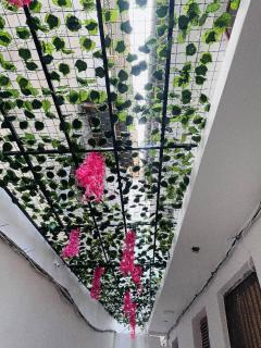 Bellimena Stone Town - 7