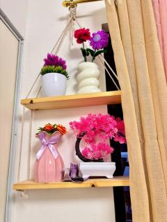 Athena & Storm the Bay Nook - 7