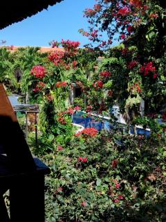 Falésias de Carapibus - 0