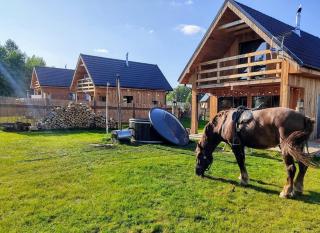 Górskie kaszuby ,Gołubie ,Domek w sielskim klimacie ,niedaleko jeziora na Kaszubach-do 10 osob,sauna ,balia,kominek, cisza i spokój - 2