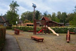 Pucón 3D con calefacción, Piscina y Marina privada Alicura - Pucón - 2