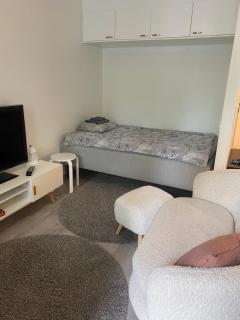 Moderni yksiö, omalla autopaikalla - 1