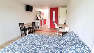 Le petit Château Avesnois - Studio avec terrasse vue sur le jardin - 4