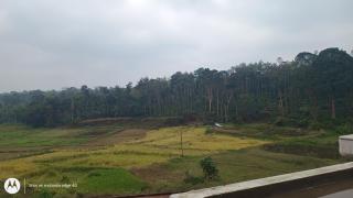 Nagesh paikera biligeri - 6