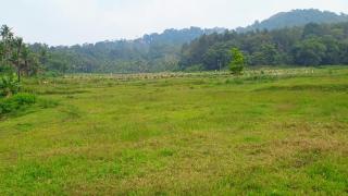 Nagesh paikera biligeri - 4