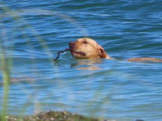 Beachside Sunny Escape - 2BR- Steps to Famous Beach - 2 Bikes - St Pete Beach - 7