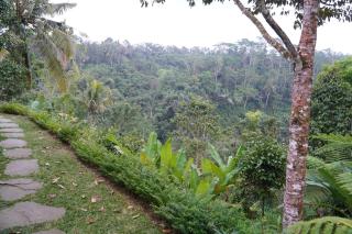 Alokavati Homestay - 9