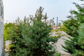 Blueground Northeast Bellevue rooftop nr Lake Sammamish SEA-904 - 5