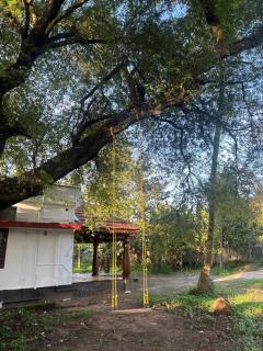 Kochuthottathil Heritage - 7