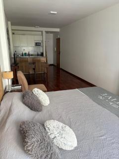 Hermoso departamento en Palermo Chico! - 9