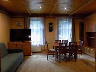 Trzy Izby, apartament przy skoczni i centrum - 4