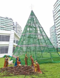 The Residences at Commonwealth - Fernly Turf - 3