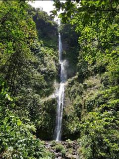VillaBadlou Ti Cocon - 9