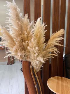 apartamento en la playa - 3