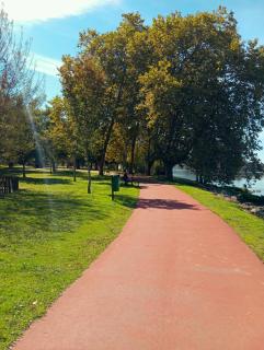 Quarto em Caminha-Lanhelas - 9
