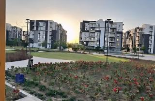 2 Bedroom Modern Flat at Zayed Compound - 1