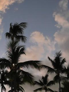 beach villa los corales home - 5