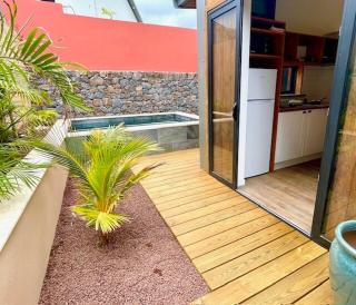 Tiny house avec piscine privative - 7