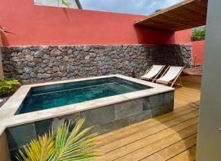 Tiny house avec piscine privative - 6