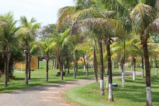 Pousada Tropical Vereda - 7