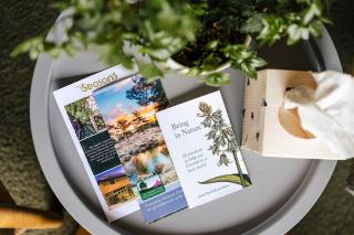 Ashdown Forest Retreat - 8