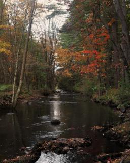 Argyll House by Boutique Litchfield Escape Villa - 3