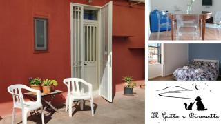 Il Gatto e Pirouette - 0