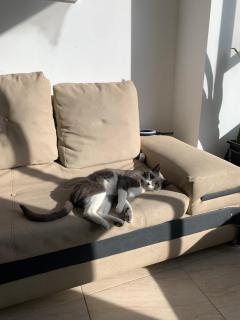 Habitación privada en restrepo, Bogotá - 4