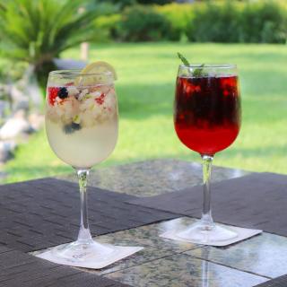 Hosteria Las Quintas Hotel Restaurante Bar - 1