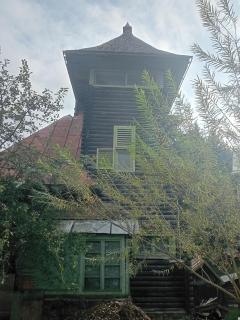 Școala Zamolxiană - 1