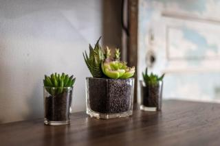 Cozy 3bdrm2ba with GAME ROOM - 7