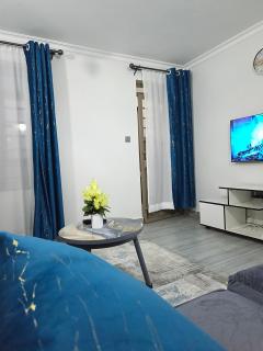 Qara Homes One Bedroom, Juja - 6