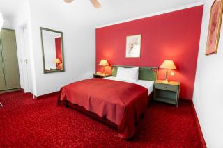 Hotel-Restaurant Schwanen - 5