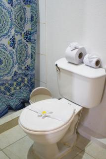 Alpha Arenal Hostel - 1