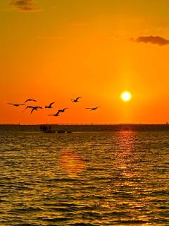 First-Floor 2BR 2BA Condo in Old Naples Steps to 5th Ave South & the Beach - 9