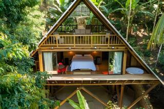 Refugio inmerso en el bosque en Aldeia Rizoma - 0