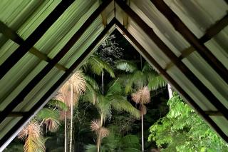 Refugio inmerso en el bosque en Aldeia Rizoma - 5