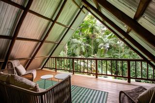 Refugio inmerso en el bosque en Aldeia Rizoma - 4