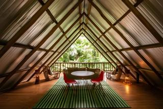 Refugio inmerso en el bosque en Aldeia Rizoma - 2