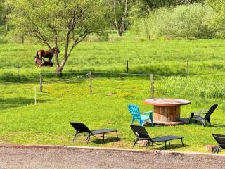 Maison d'hôtes en pleine nature avec chevaux - 3