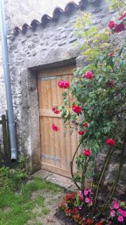 Sailor Nest - Casetta carsica Aurisina - 3