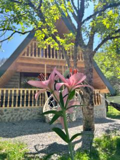 ElNi hause Borjomi - 9