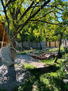 ElNi hause Borjomi - 8