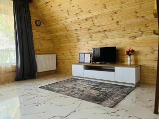 ElNi hause Borjomi - 4