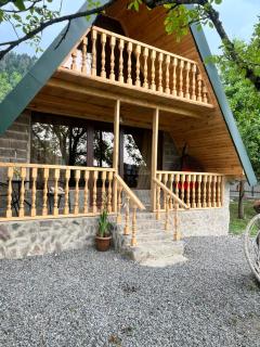 ElNi hause Borjomi - 7